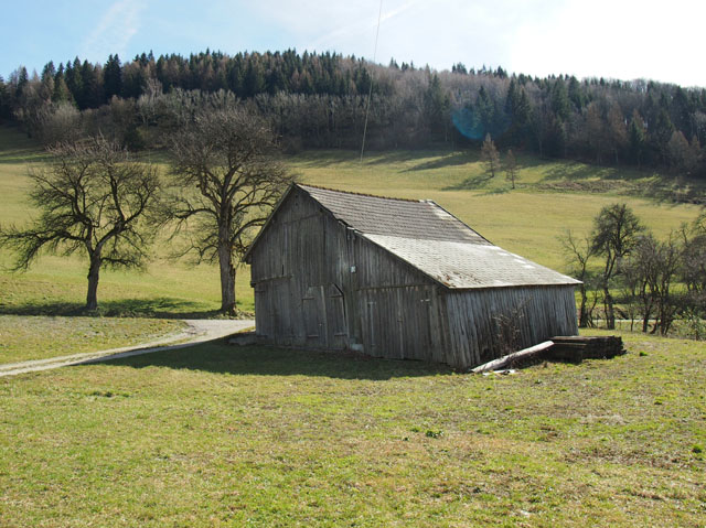 P3172661