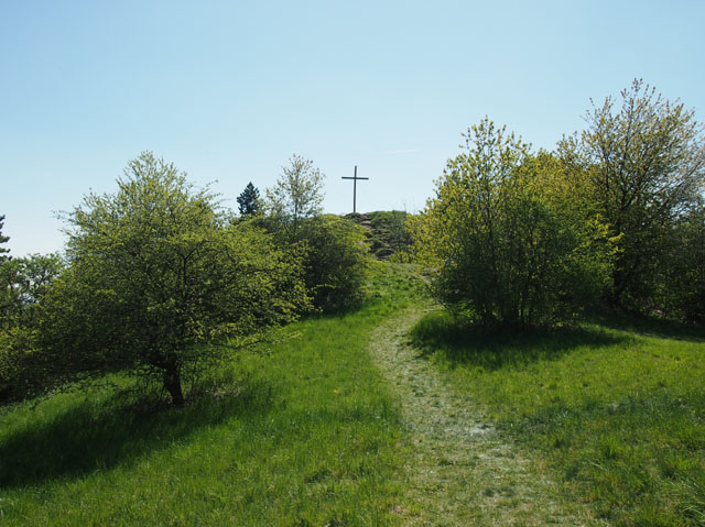 P4212912