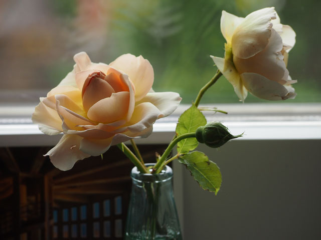 P1000017_P5283349