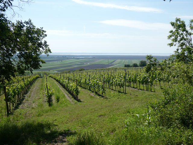 P1000032
