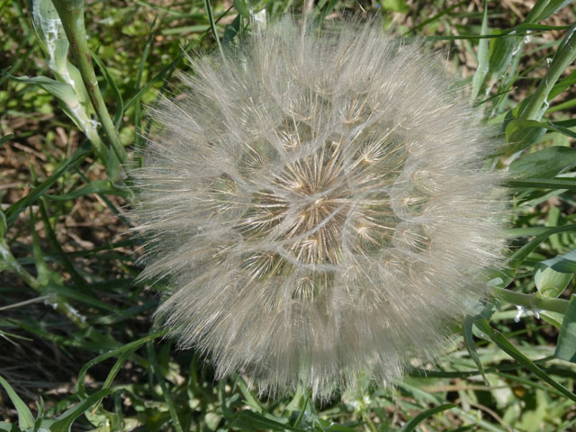 P1000046