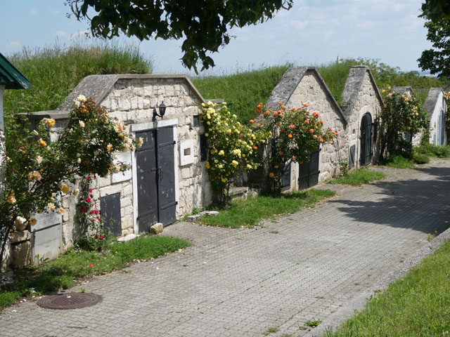 P1000055