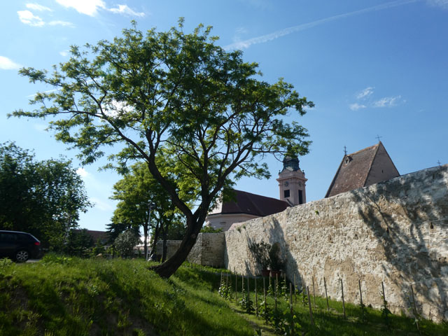 P1000083
