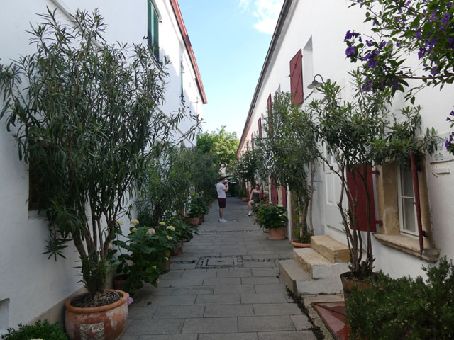 P1000086