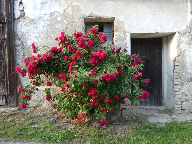 P1000097