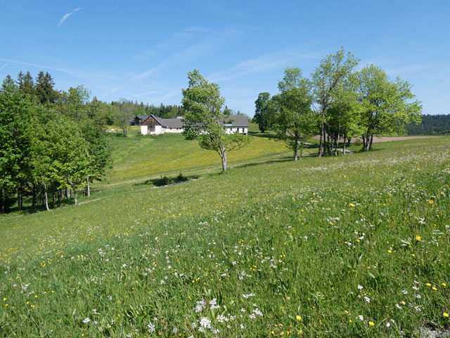 P1000141