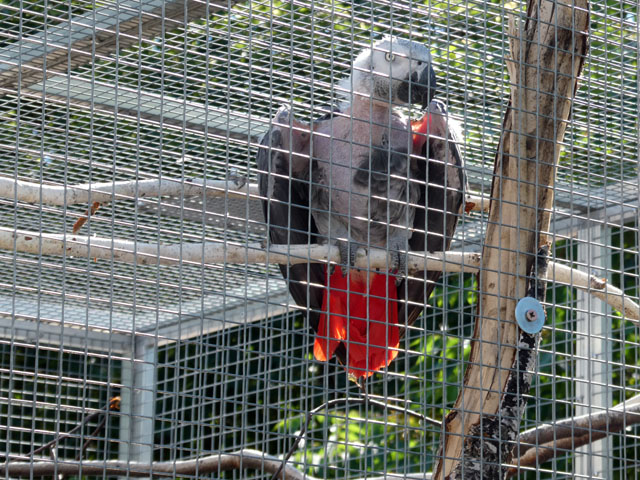P1000258