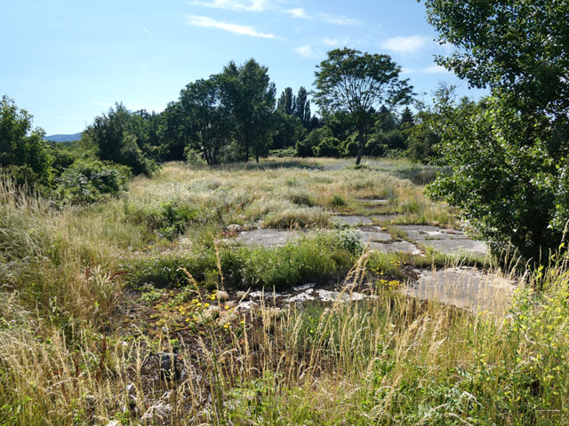P1000268