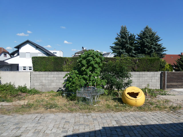 P1000283