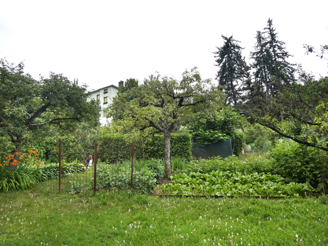 P1000334