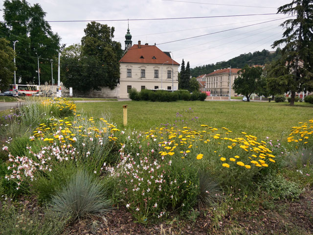 P1000338