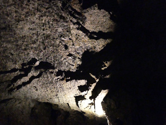 P1000356