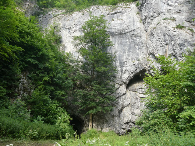 P1000364