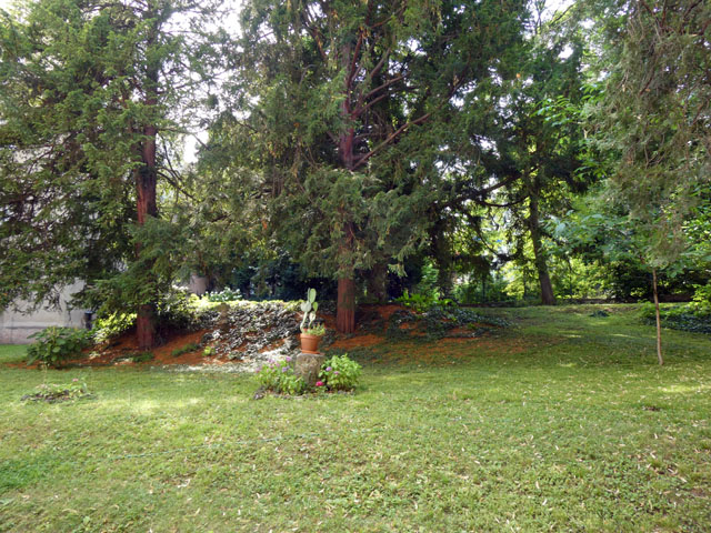 P1000454
