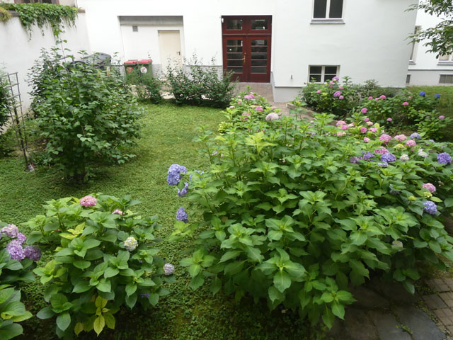 P1000475