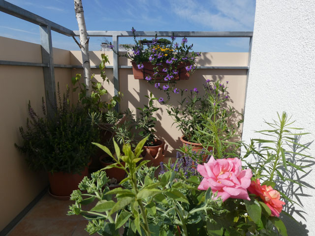 P1000483