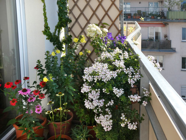 P1000522
