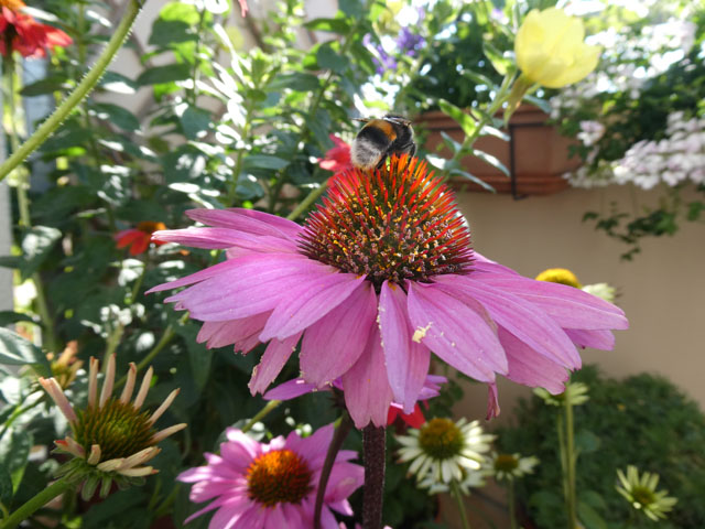 P1000547