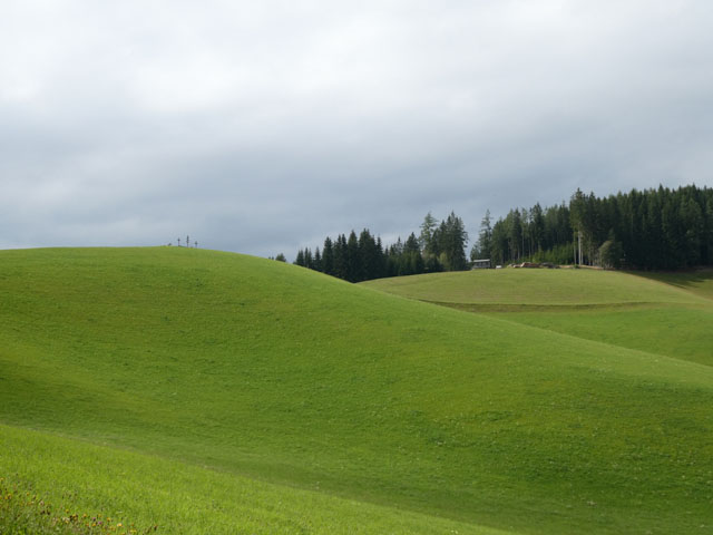 P1000932