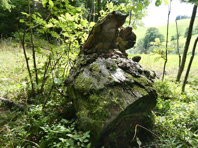 P1000935