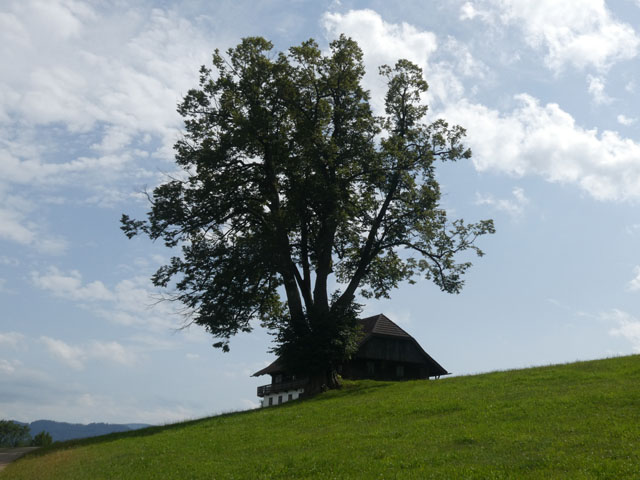 P1000978