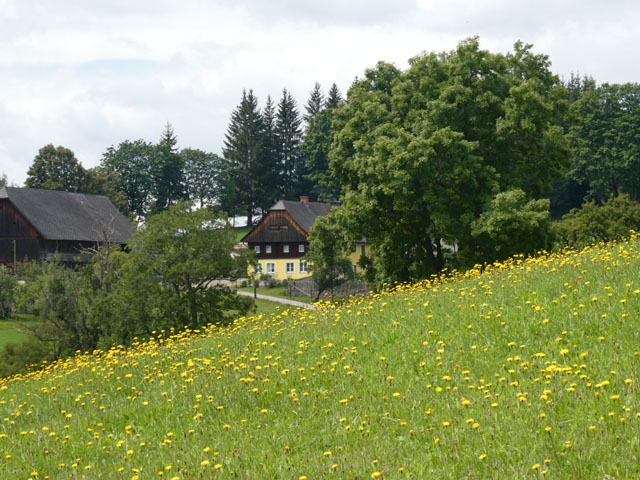 P1000987