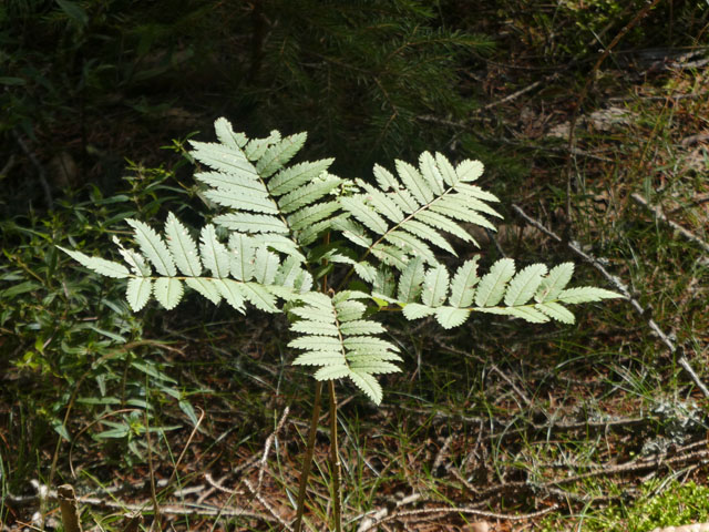 P1001004