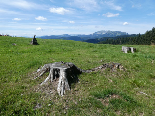 P1001052