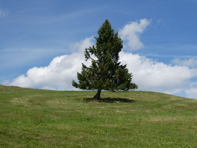 P1001057