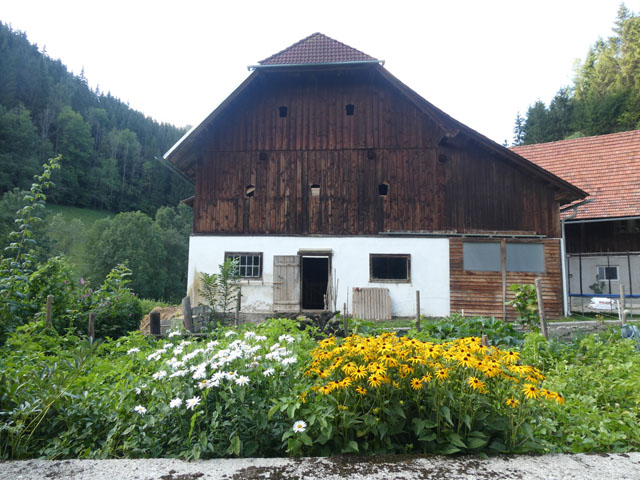 P1001079