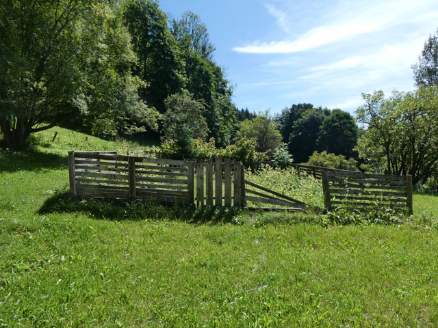 P1001088