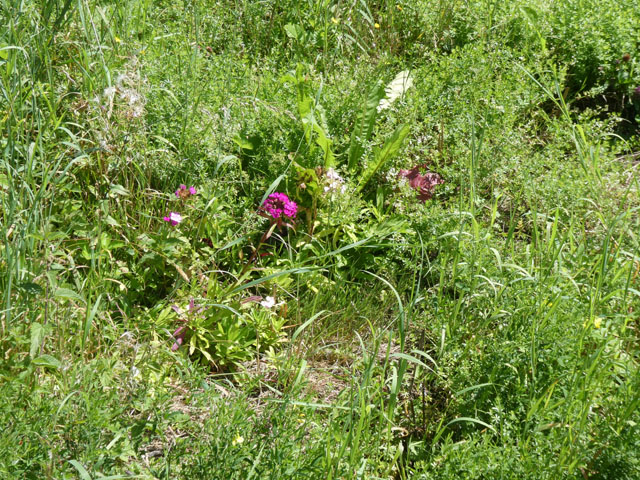 P1001090