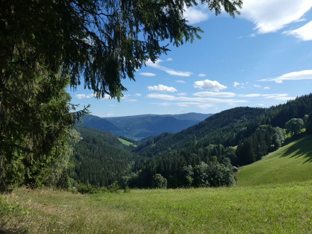 P1001113