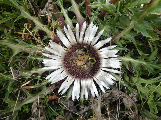 P1001125