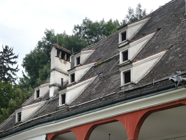 P1001226