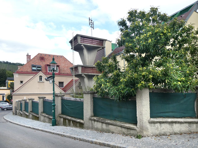 P1001531