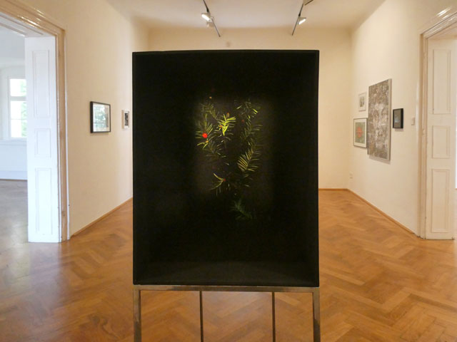 P1001627