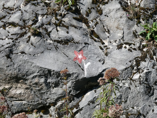 P1001674