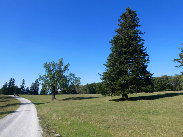 P1001694