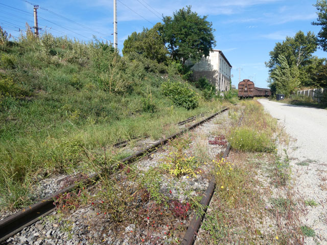 P1001773