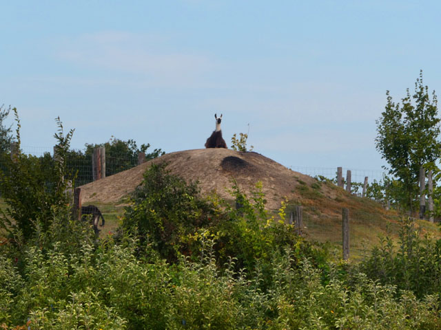 P1001785