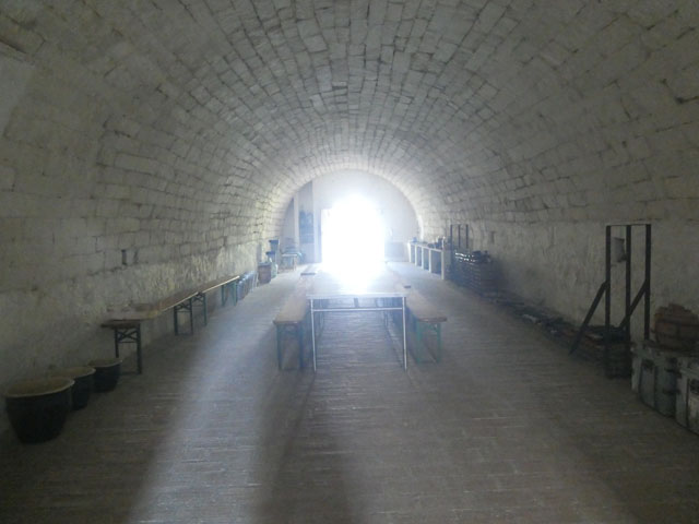 P1001810