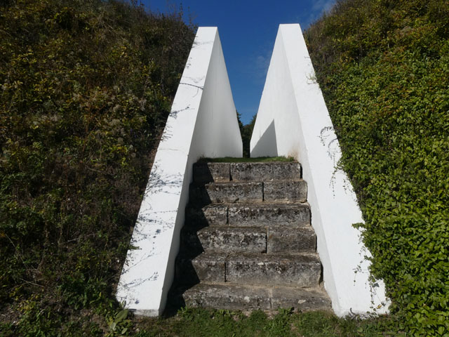 P1001816