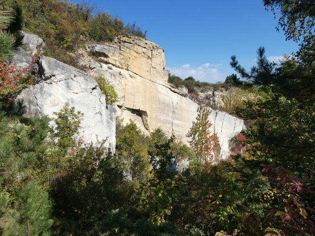P1001840