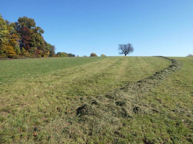 P1001923