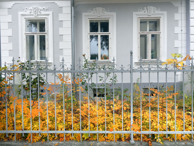 P1001959