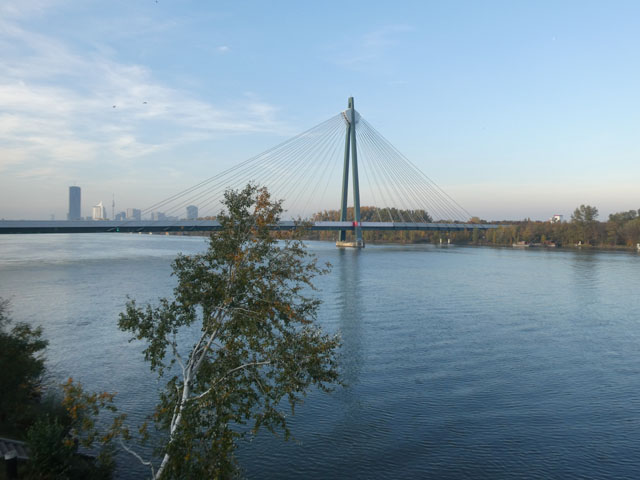 P1002093