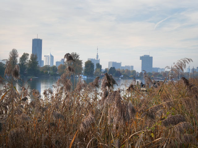 P1002103