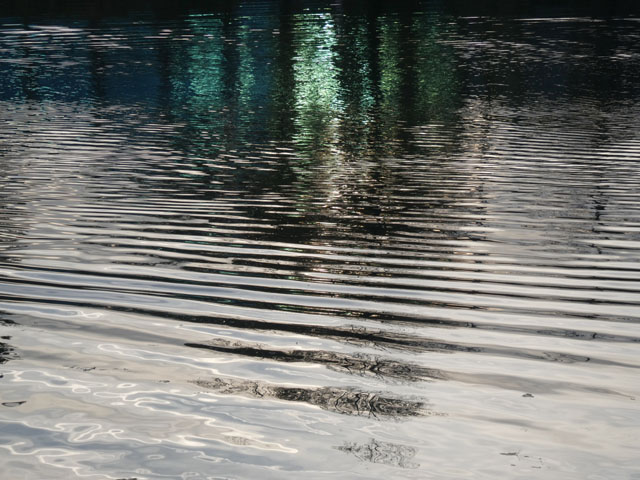 P1002107