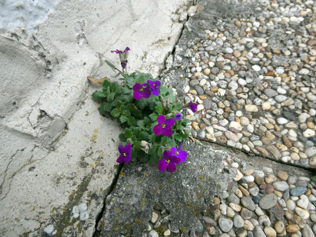 P1002754